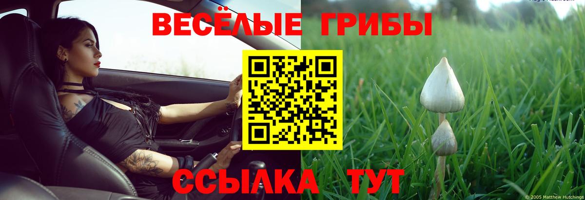 Псилоцибиновые грибы Magic Shrooms Кимовск